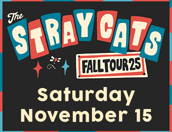Stray Cats Albuquerque NM