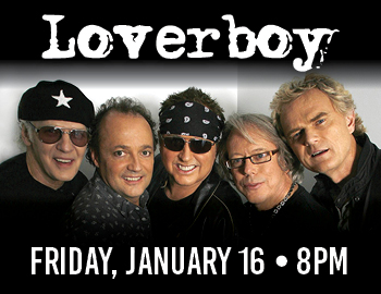 Stray Cats Albuquerque NM