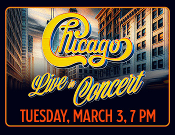 Stray Cats Albuquerque NM